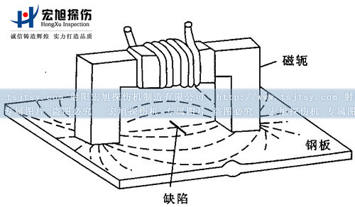 南瓜视频在线观看毛片磁轭探头