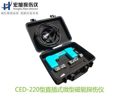 CED220型直插式微型磁轭南瓜视频在线观看毛片